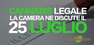 cannabis legale = la camera ne discute il 25 luglio