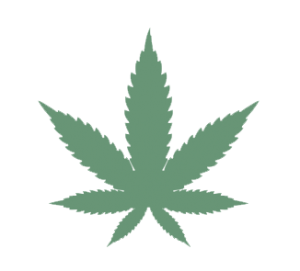 Cannabis Indica